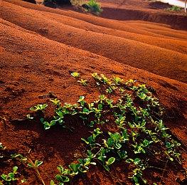 《心灵杀手：复刻版》更新 XSX|S现已支持自动HDR