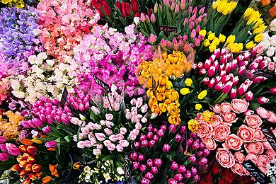 网易射击游戏《漫威争锋》新地图预告：东京2099